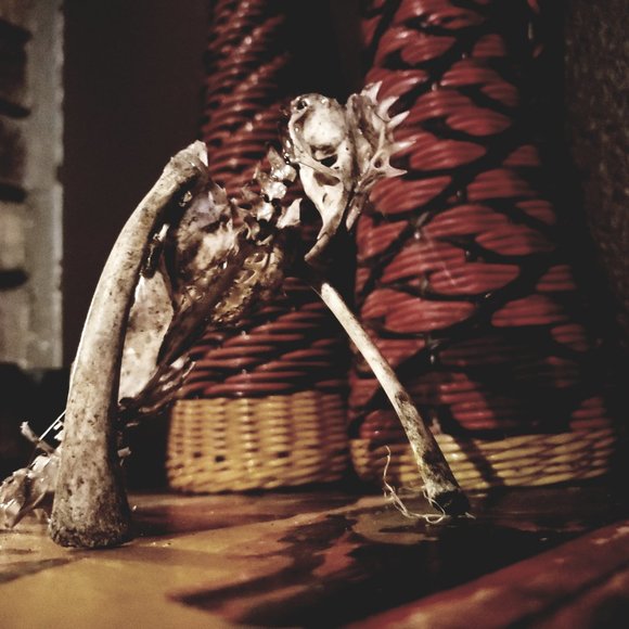 Hello! Welcome to my weird closet! - Picture 4 of 16